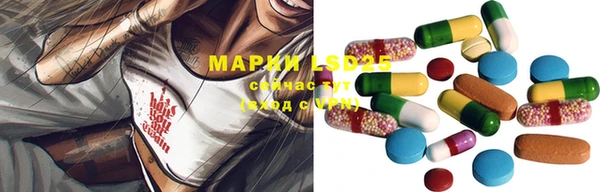 спиды Аркадак