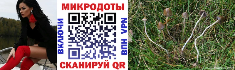 Купить закладки  Суоярви  Псилоцибиновые грибы мухоморы 